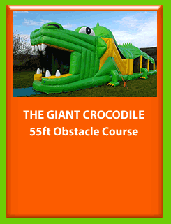 THE GIANT CROCODILE 55FT OBSTACLE COURSE for Hire in Carrick-on-Shannon, Leitrim, Longford and Roscommmon in Ireland. Phone us on 0894258578 today to book this unit.